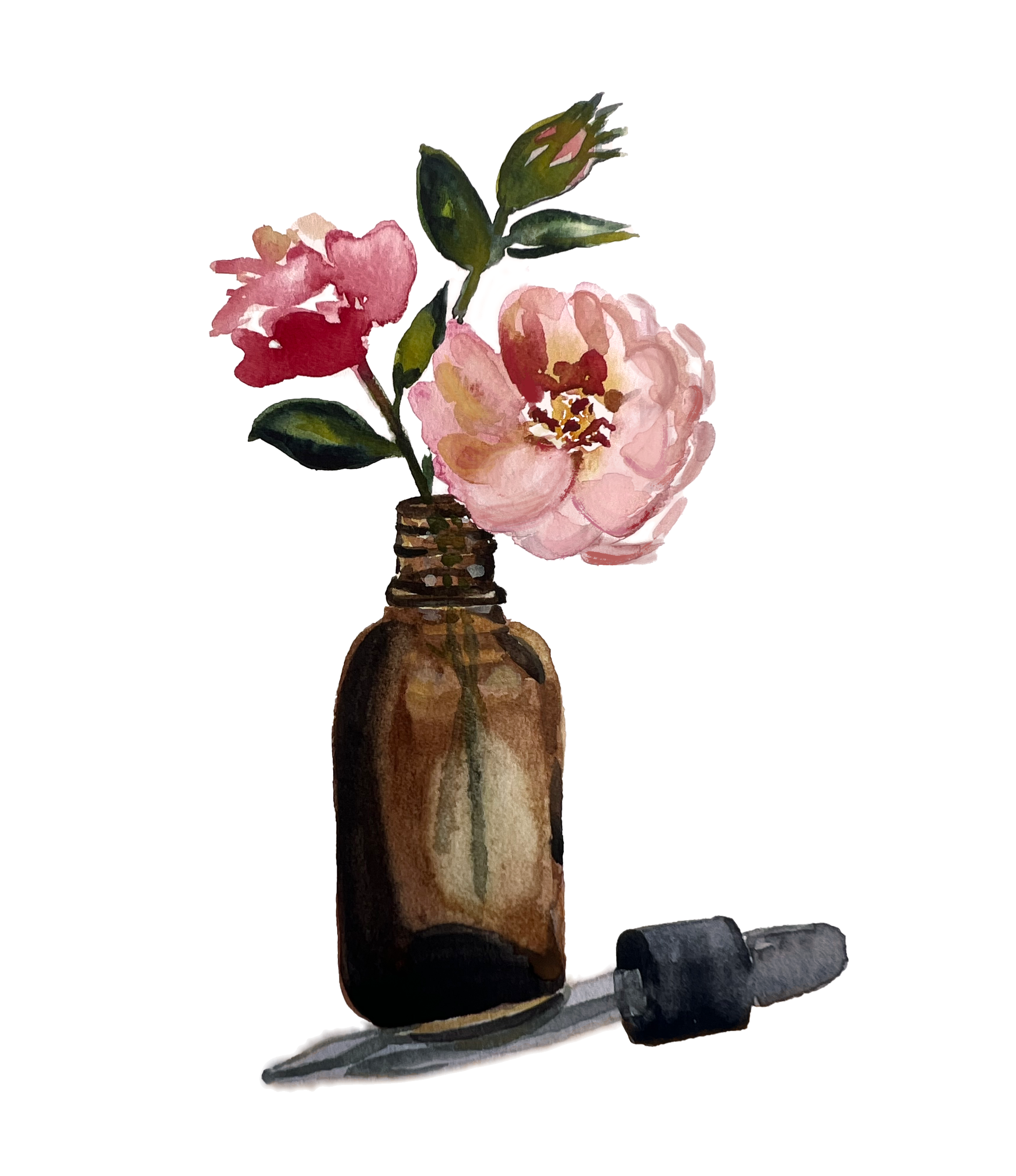 Personalized Flower Remedies for Emotional Healing by Amanda By Nature Watercolor artwork by Amanda By Nature, capturing the gentle spirit of personalized flower remedies for emotional healing through nature’s elegant brushstrokes.
https://www.amandabynature.com